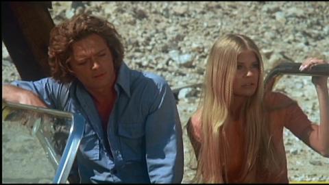 VELVET VAMPIRE - THE | VELVET VAMPIRE - THE | 1971