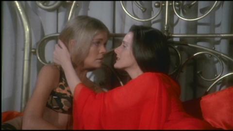 VELVET VAMPIRE - THE | VELVET VAMPIRE - THE | 1971