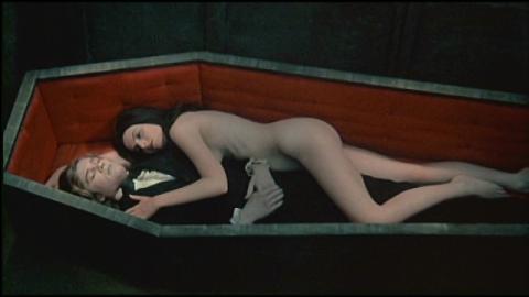 VELVET VAMPIRE - THE | VELVET VAMPIRE - THE | 1971