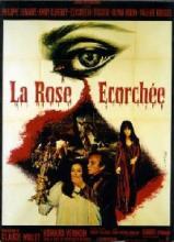 ROSE éCORCHéE - LA | LA ROSE éCORCHéE | 1970