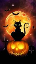 Happy Halloween à toutes et tous ! 
