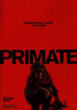 Primate | Primate | 2025
