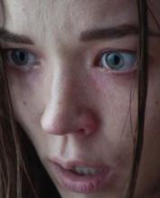 1BR : THE APARTMENT | 1BR | 2019