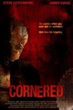 CORNERED ! | CORNERED ! | 2009