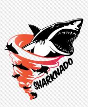 Sharknado 5 : c'est pour bientôt aux USA !!!