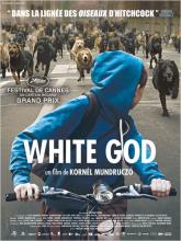 WHITE GOD | WHITE GOD | 2014