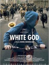 WHITE GOD | WHITE GOD | 2014