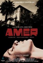 AMER | AMER | 2009