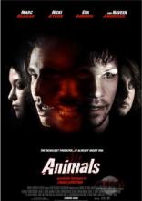ANIMALS | ANIMALS | 2008