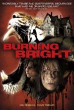 BURNING BRIGHT | BURNING BRIGHT | 2010