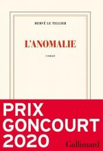 Chronique livre : L'Anomalie