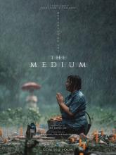 MEDIUM - THE | MEDIUM - THE | 2021