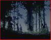 LOIN DE TOUT | LOIN DE TOUT | 2008