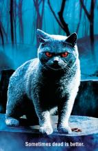 Cinema : remakes en pagaille