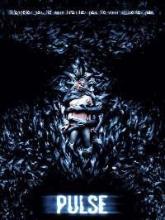 PULSE | PULSE | 2006