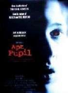 UN ELEVE DOUE | APT PUPIL | 1998