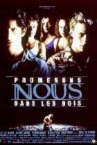 PROMENONS NOUS DANS LES BOIS | PROMENONS NOUS DANS LES BOIS | 1999