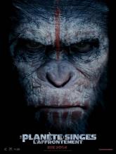 Cinéma : La planète des singes - l'affrontement