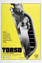 TORSO | I CORPI PRESENTANO TRACCE DI VIOLENZA CARNALE  | 1973