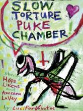 SLOW TORTURE PUKE CHAMBER | SLOW TORTURE PUKE CHAMBER | 2010