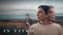 Embedded thumbnail for In vitro | In vitro | 2024