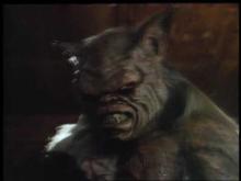 Embedded thumbnail for Cellar dweller