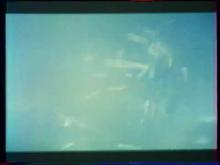 Embedded thumbnail for DENTS DE LA MER 3 - LES | JAWS 3D | 1983