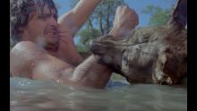 Embedded thumbnail for Crocs du diable - les | Perro - el | 1977