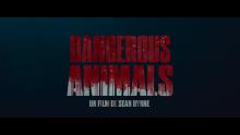 Embedded thumbnail for Dangerous Animals | Dangerous Animals | 2025