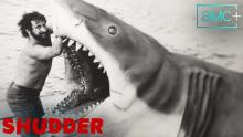 Embedded thumbnail for Sharksploitation | Sharksploitation | 2023