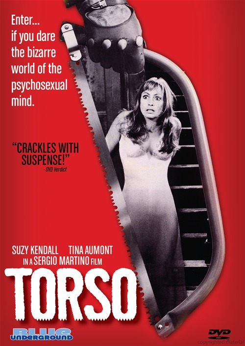 TORSO | I CORPI PRESENTANO TRACCE DI VIOLENZA CARNALE  | 1973